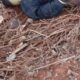 Ponta Porã: Identifican cadáver maniatado de pies y manos en un vertedero en la frontera