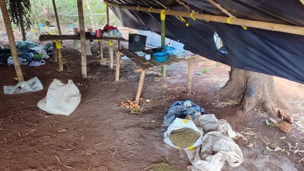 Asociación indígena asegura que sitio allanado por cultivo de marihuana no les corresponde Asociación indígena asegura que sitio allanado por cultivo de marihuana no les corresponde