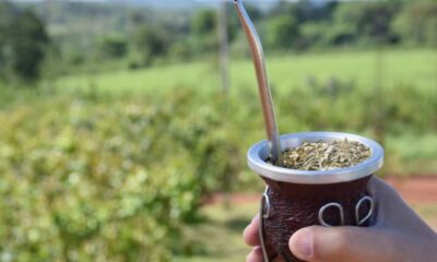 Provincia de Misiones frena importación de yerba mate desde Paraguay y Brasil