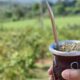 Provincia de Misiones frena importación de yerba mate desde Paraguay y Brasil