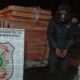 Policía Nacional incauta 229 kilos de marihuana en Pilar