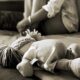 Senado aprueba subir a 30 años la pena para casos de abuso sexual en niños
