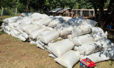 Incautan más de 5 toneladas de marihuana y armas en Cerro Corá