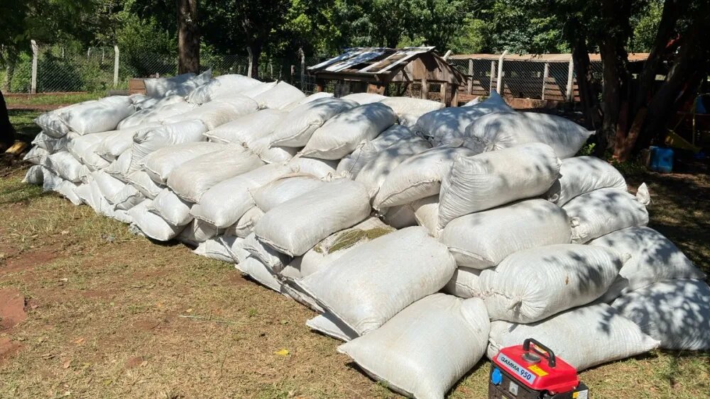 Incautan más de 5 toneladas de marihuana y armas en Cerro Corá Incautan más de 5 toneladas de marihuana y armas en Cerro Corá
