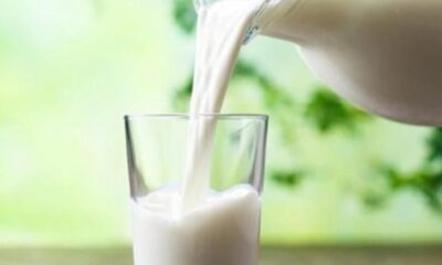 Día Mundial de la Leche: ¿Cuáles son sus beneficios nutricionales?