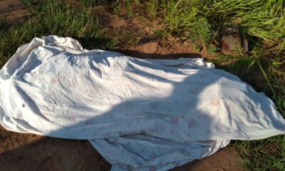 Capitán Bado: Asesinan a tiros a un hombre en un inmueble rural en conflicto judicial