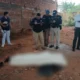 Hallan cadáver de un hombre con antecedentes en Horqueta