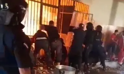 Bella Vista Norte: Destruyen más de 2 toneladas de marihuana en campamento narco