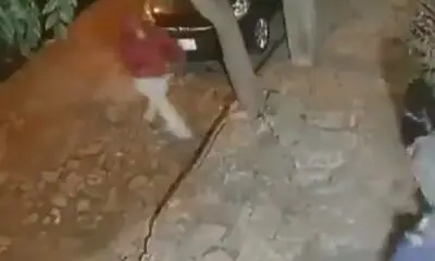 Último reporte del policía baleado en Limpio: Fue sometido a otra cirugía y quedaría con secuelas