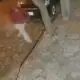 Último reporte del policía baleado en Limpio: Fue sometido a otra cirugía y quedaría con secuelas