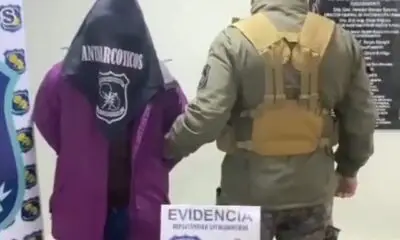 PJC: Encuentran modernos campamentos con luz eléctrica y más de 4 toneladas de marihuana