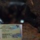 Acribillan con 12 disparos a un brasileño en Capitán Bado