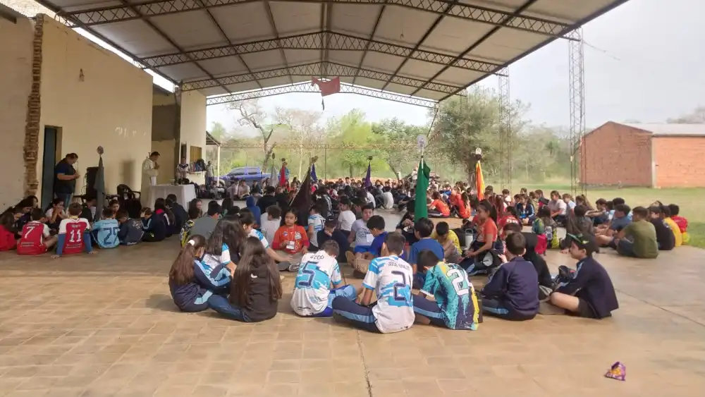 Concepción: Avispas atacan a 20 niños y un cura durante un campamento escolar