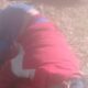 Capitán Bado: Nativo golpeó a su pareja con un banco de madera