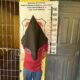 PJC: Buscado por violencia familiar es detenido en Romero Cue