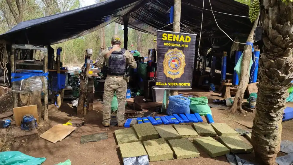 Senad halla campamentos con luz eléctrica y más de 2 toneladas de marihuana en Amambay Senad halla campamentos con luz eléctrica y más de 2 toneladas de marihuana en Amambay