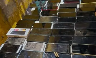 Antidrogas hallan 1,5 toneladas de marihuana en Canindeyú