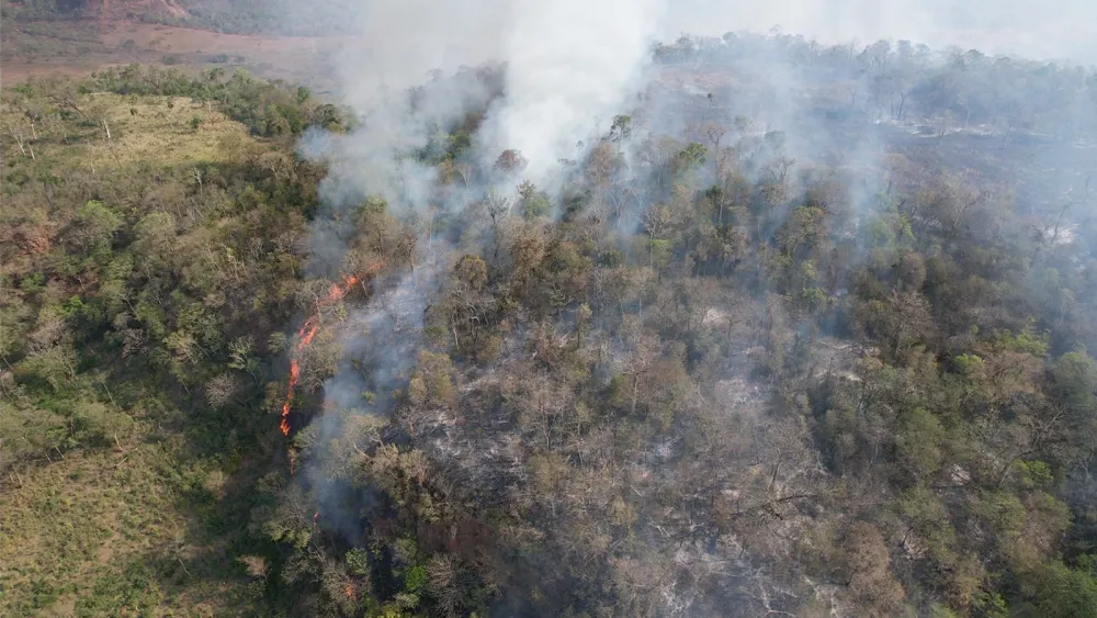 Mades estima unas 200 hectáreas afectadas por incendio en Parque Nacional Cerro Corá Mades estima unas 200 hectáreas afectadas por incendio en Parque Nacional Cerro Corá