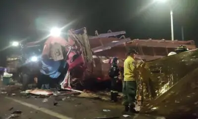 Senad destruye 6.000 kilos de marihuana en Capitán Bado