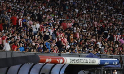 ¡Con un tremendo apoyo! Paraguay jugará a estadio lleno ante Brasil