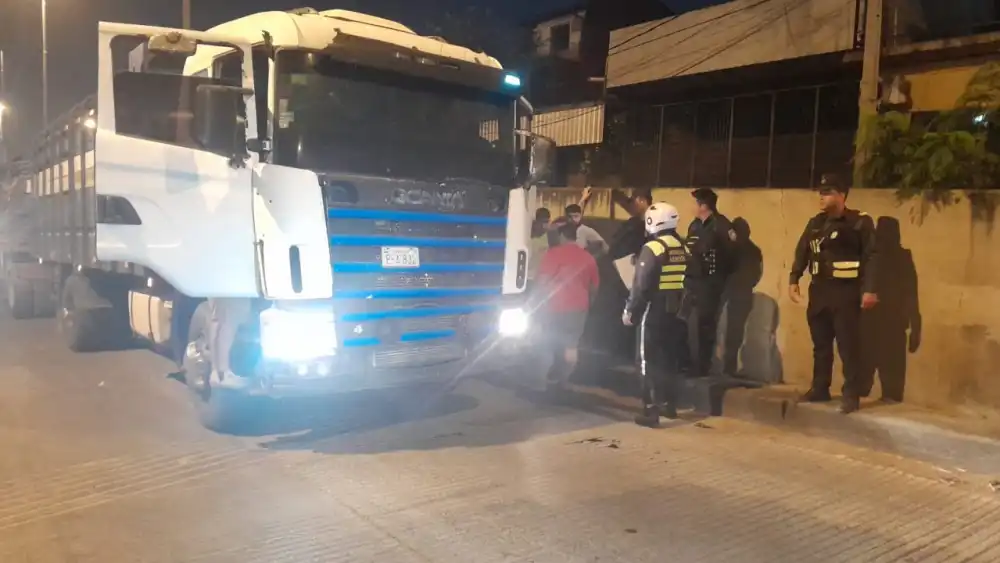 Acoplado de transganado vuelca en el túnel Semidei y provoca muerte de vacunos