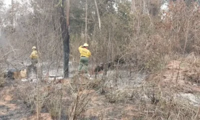 Lluvias aplacan incendios forestales en el Chaco: Sin focos de calor en áreas protegidas, reporta Mades