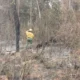 Lluvias aplacan incendios forestales en el Chaco: Sin focos de calor en áreas protegidas, reporta Mades