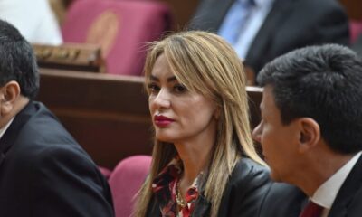 Diputada Virina Villanueva deja movimiento Honor Colorado