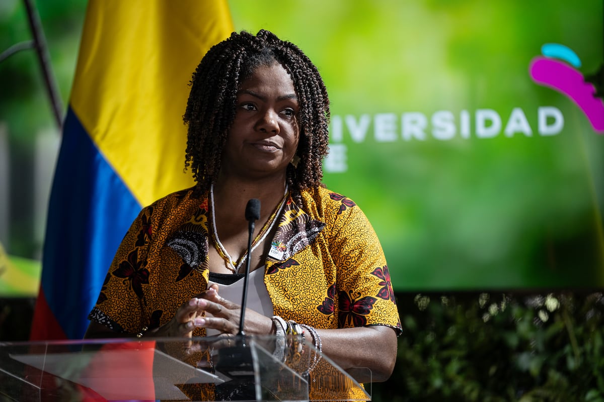 Francia Márquez exige a la ONU justicia para el pueblo afro. Francia Márquez exige a la ONU justicia para el pueblo afro.