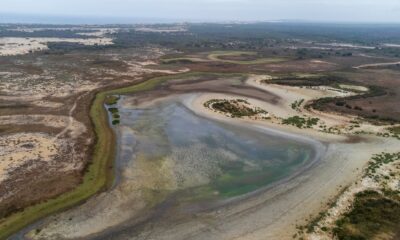 Lagunas permanentes de Doñana desaparecen, advierten científicos sobre el clima.