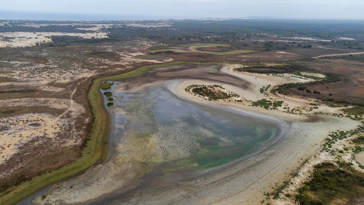 Lagunas permanentes de Doñana desaparecen, advierten científicos sobre el clima. Lagunas permanentes de Doñana desaparecen, advierten científicos sobre el clima.