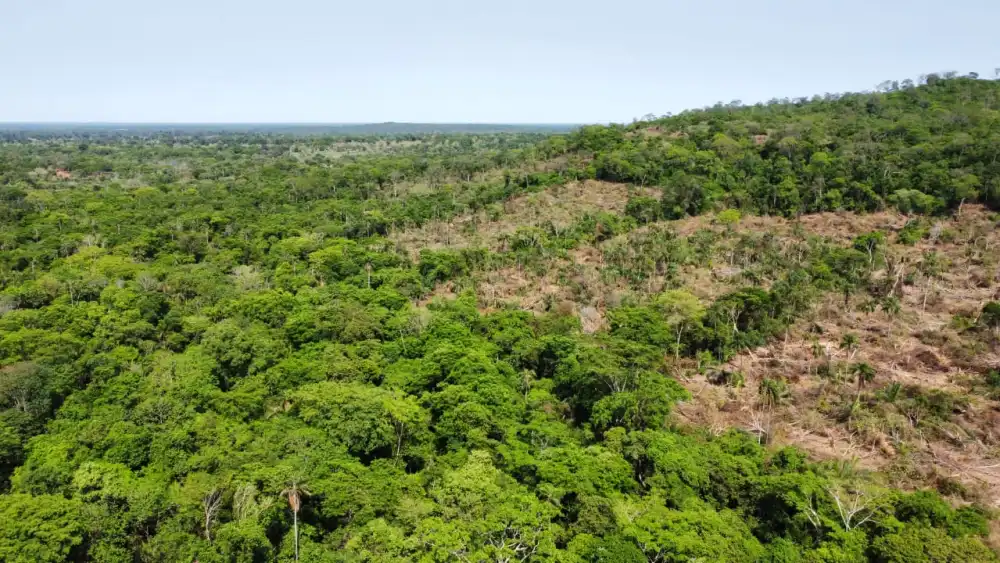 Estancia denuncia deforestación en zona de influencia del río Aquidabán Estancia denuncia deforestación en zona de influencia del río Aquidabán