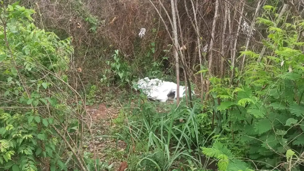 Hallan y confiscan más de 80 kilos de supuesta marihuana en Concepción