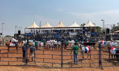 Expo Amambay se alista con 120 expositores y 170 animales en competencia