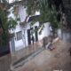 Adicto atacó vivienda en represalia a familia que lo denunció