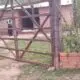 Aspirante a policía está en terapia intensiva y familiares denuncian supuesto maltrato