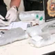 Hallan más de 20 kilos de marihuana vip en encomienda proveniente de Miami