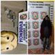PJC: Policía detiene a un joven con un revólver y una máscara