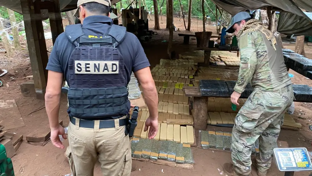 Senad destruye marihuana en reserva privada de Amambay Senad destruye marihuana en reserva privada de Amambay