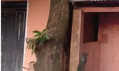 Espectacular remontada del Triqui sobre el Ciclón