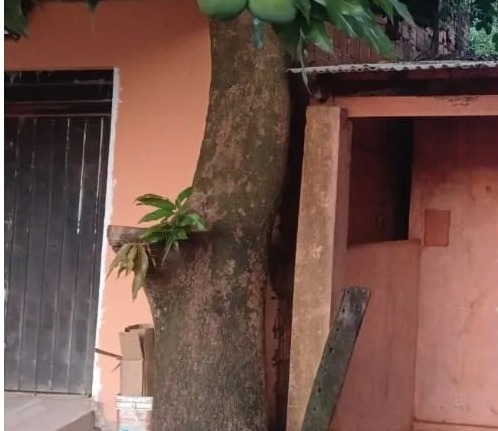 PJC: Atacan a tiros una peluquería en el barrio General Genes PJC: Atacan a tiros una peluquería en el barrio General Genes