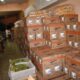 Polémica en Pedro Juan Caballero: cuestionan acumulación de alimentos escolares a pocos días del cierre de clases