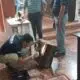 PJC: Mujer fue herida con arma blanca en la espalda