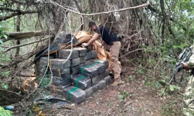 Incautan más de 24 toneladas de marihuana, valuados en unos USD 750.000, en Cerro Corá, Amambay