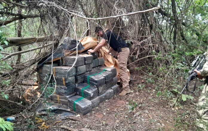 Incautan más de 24 toneladas de marihuana, valuados en unos USD 750.000, en Cerro Corá, Amambay Incautan más de 24 toneladas de marihuana, valuados en unos USD 750.000, en Cerro Corá, Amambay