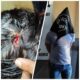 PJC: Hombre golpeó a su hermana en la cabeza con una botella