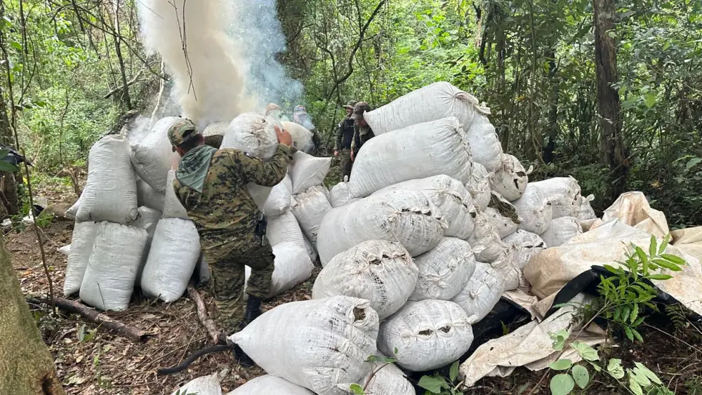 Destruyen cargamento de marihuana en comunidad indígena de Canindeyú