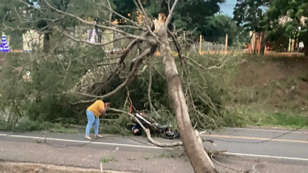 Árbol cae sobre motociclista por fuertes vientos en Yby Yaú