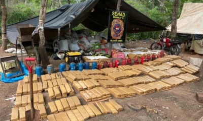 Narcos tenían cerdos, gallinas y perros, en medio del bosque en Bella Vista Norte