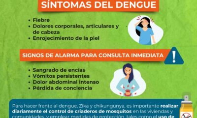 Salud: Identificación y manejo de síntomas iniciales del dengue.